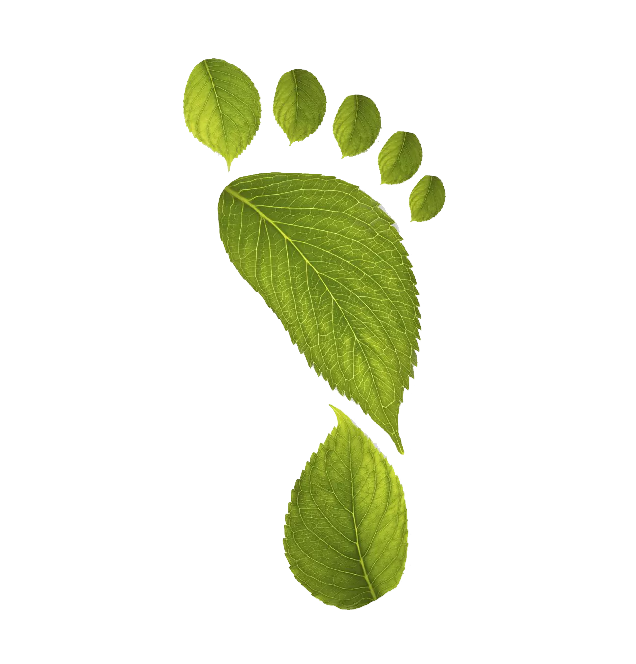 hallux valgus,лечение косточки на ноге,вальгусная деформация,операция на косточке,коррекция hallux valgus,удаление косточки на ноге,ортопед москва,лечение стопы,безоперационное лечение hallux valgus,реабилитация после операции